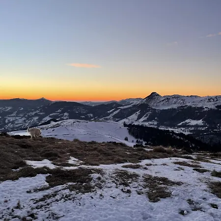 Bec Aigle Appartement Le Lioran